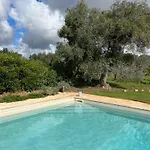 Trulli Acquario Gemelli Complex 펜션 카스텔라나그로테
