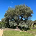 Trulli Acquario Gemelli Complex 카스텔라나그로테