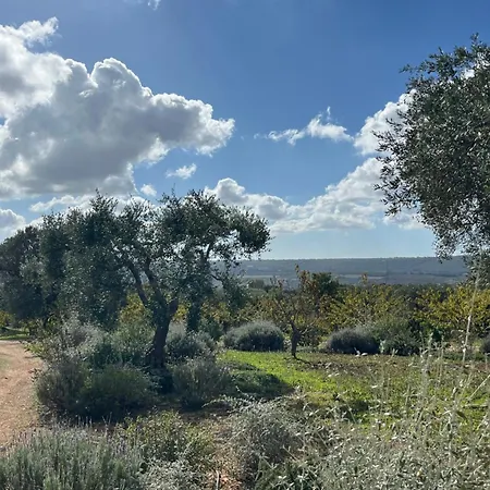 Tatil Evi Trulli Acquario Gemelli Complex Castellana Grotte