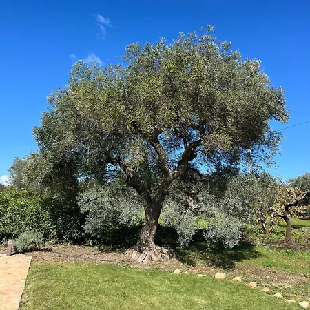 Trulli Acquario Gemelli Complex Castellana Grotte