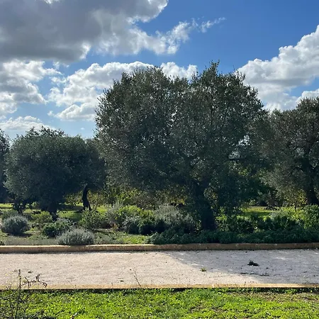 Trulli Acquario Gemelli Complex Tatil Evi