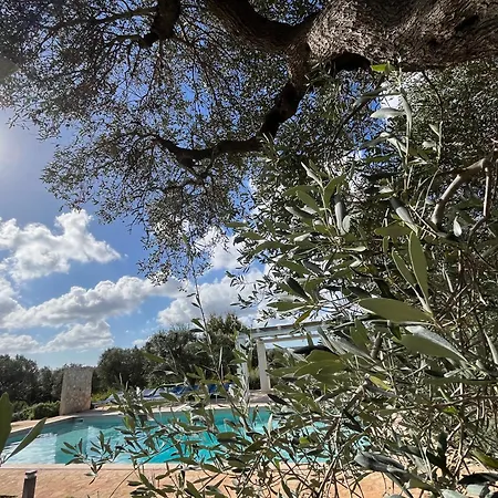 Tatil Evi Trulli Acquario Gemelli Complex