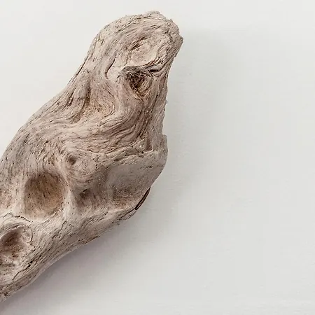 Casa vacanze Trulli Acquario Gemelli Complex